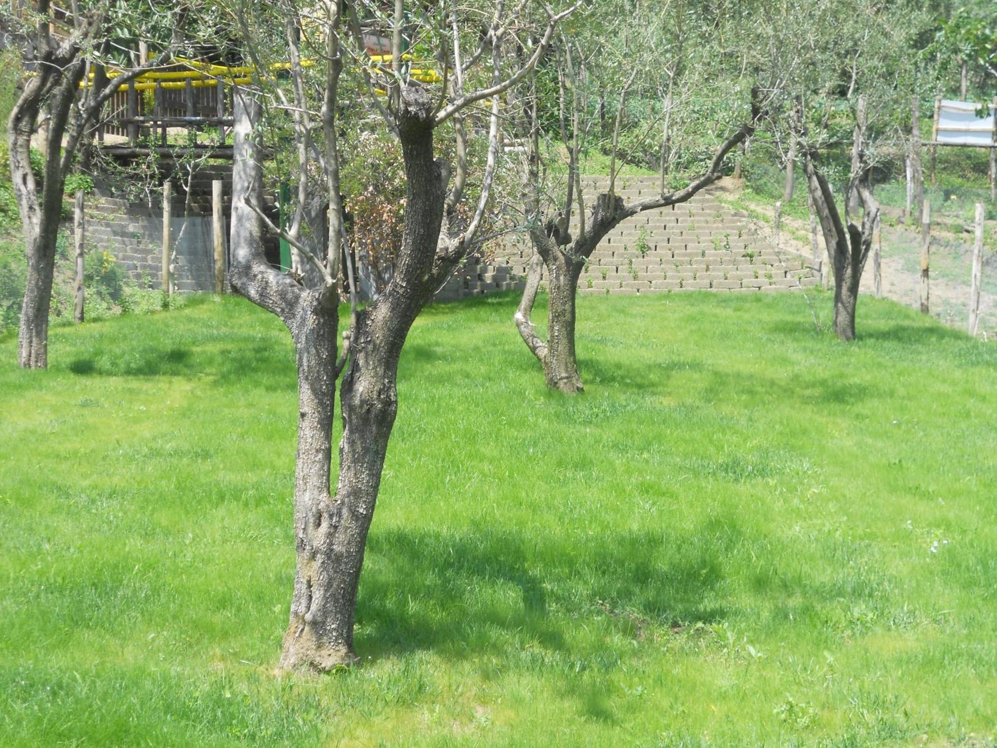 Agriturismo La Casa Del Ghiro Pimonte Dış mekan fotoğraf